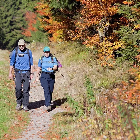 Prázdninový dům Holiday Thuringer Ferienhauschen 1 *